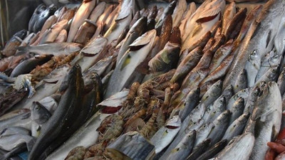 Palamut alırken dikkat! Palamut diye tombik satıyorlar