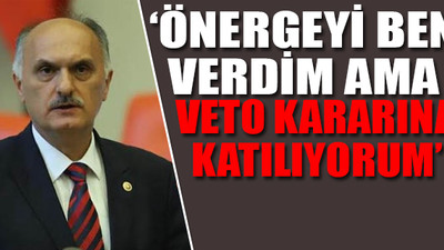 Termik santral önergesini veren AKP'li vekil konuştu!