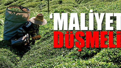 Zararı zamla kapatmaya çalışan ÇayKur’a Sayıştay'dan uyarı