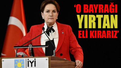 Akşener'den bayrak yırtan Yunan vekile tepki