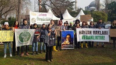 Atlı faytonlar kalktı, eylem sona erdi!