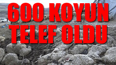 Elazığ'da korkutan hastalık