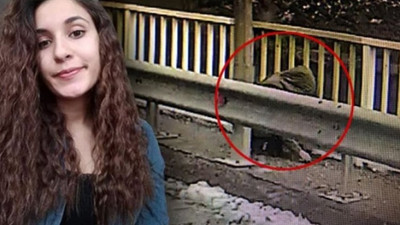 Gülistan Doku için Meclis'te araştırma komisyonu önerisi