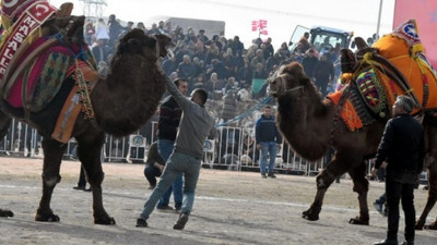 HAYTAP Temsilcisi Önder'den Aksoy'a 'deve güreşleri' tepkisi