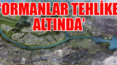 Kanal İstanbul, 3 bin 896 futbol sahası kadar orman alanını yok edebilir