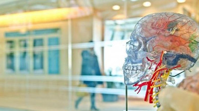 Prof. Dr. Uğur Batı: Düzensiz gelir beyin sağlığını olumsuz etkiliyor