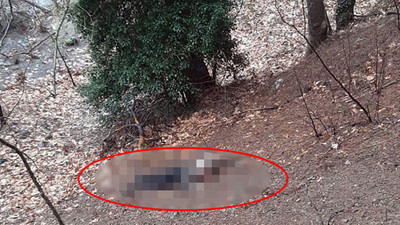 Adana'da korkunç kadın cinayeti