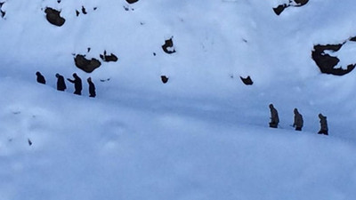 Bingöl’den acı haber! Çığ altında kalan korucunun cansız bedenine ulaşıldı