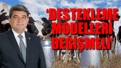 CHP'li Gökçel: Süt üreticisi perişan