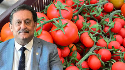 CHP'li Özer: Rusya'ya giden domatesler Antalya'ya döndü