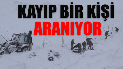 Çığ bölgesinde arama çalışması yeniden başlatıldı