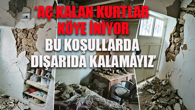 Depremzedeler, fırtınada çadırları uçunca hasarlı evlere geri döndüler