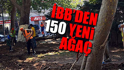 Gezi Parkı'nda merak uyandıran hareketliliğin nedeni belli oldu