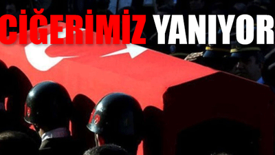 İdlib'deki şehit sayısı 33'e yükseldi