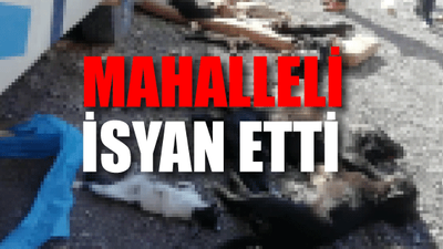 İzmir'de vahşet! Bunu yapan insan olamaz