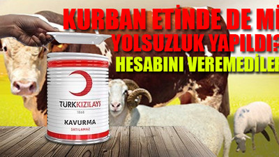 Kızılay'da kurban bağışı skandalı 