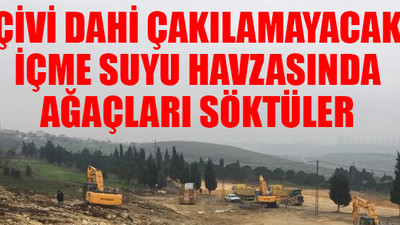 AKP'li Başakşehir Belediyesi'nin 'kaçak mezbaha' inşaatı ortaya çıktı