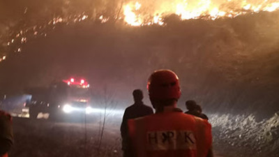 Artvin'de orman yangınında 10 dönüm alan zarar gördü
