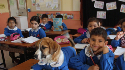 ‘Fındık’ hayatını kaybetti