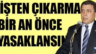 Kavlak: Özelleştirmenin bedeli ödeniyor