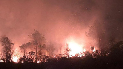 Orman alev alev yanıyor! Ekipler seferber oldu