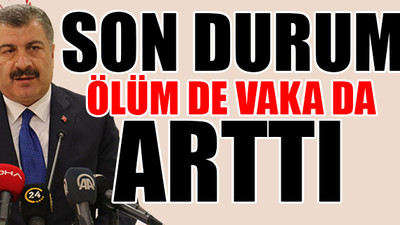 Türkiye'de koronavirüsten hayatını kaybedenlerin sayısı 44'e yükseldi