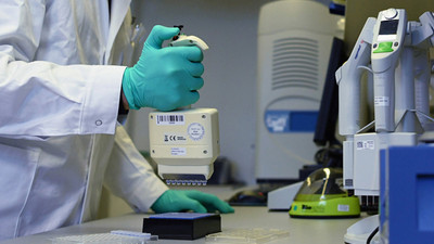 Avustralya'da koronavirüs aşısı hayvanlarda denenmeye başladı