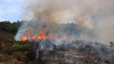 Aydos ormanlarında korkutan yangın