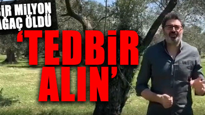 CHP'li vekil uyardı: 'Zeytin cüzzamı' korona gibi ilerliyor