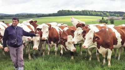 Koronavirüs salgını nedeniyle et ve sütte arz sıkıntısı tehlikesi