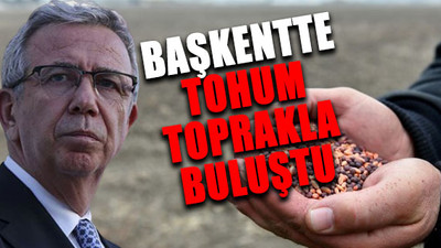 Mansur Yavaş talimat vermişti: Belediyeye ait tarım arazilerinde üretim başlıyor