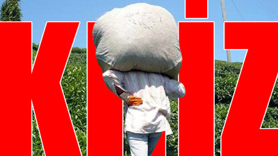 44 maddelik acil eylem planı