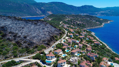 Antalya Kaş'ta yanan alan tekrar ağaçlandırılacak