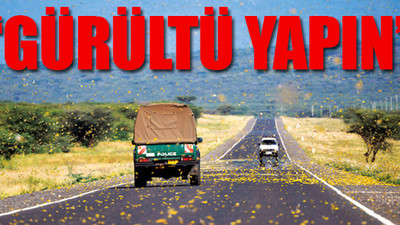 Çekirge istilasına yetkililerden ilginç çözüm