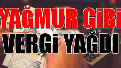Çok sayıda ürüne ek gümrük vergisi getirildi