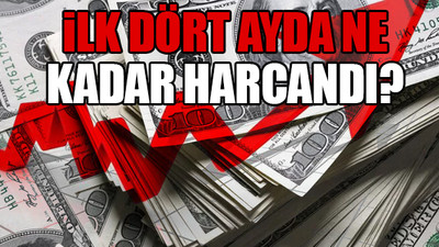 Doları düşürmek için harcanan para