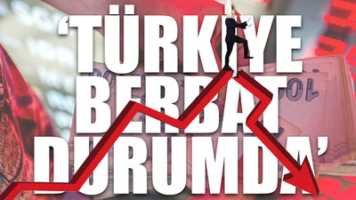 Harvard profesörleri uyardı