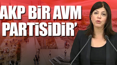 HDP'den AKP'ye AVM tepkisi