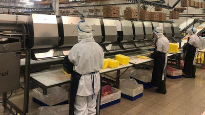 Koronavirüse yakalanan Gedik Piliç işçilerinden güzel haber