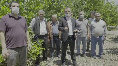 Koronavirüsten sonra çiftçiyi bir de Afrika sıcakları vurdu