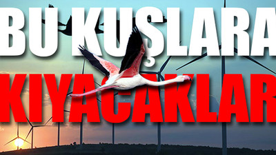Kuş cennetine RES yapacaklar