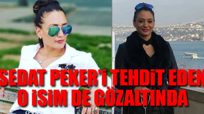 Organize suç örgütlerine ''hijyen'' operasyonu