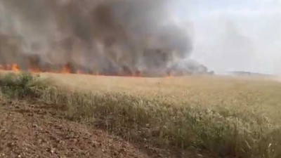 PKK/YPG, Tel Abyad'ta tarım arazilerini yakıyor