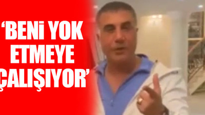 Sedat Peker'den Berat Albayrak yorumu