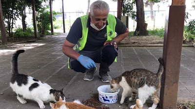 Sokak hayvanları, yasak sürecinde Kartal Belediyesi’ne emanet