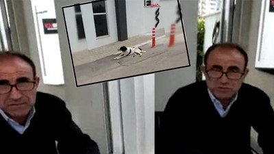 Sokak köpeklerine işkence eden güvenlik görevlisi: Hepsini mermi manyağı yapacağım