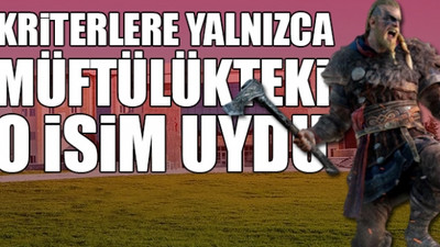 Üniversite ‘Viking Uzmanı’ ilanı verdi