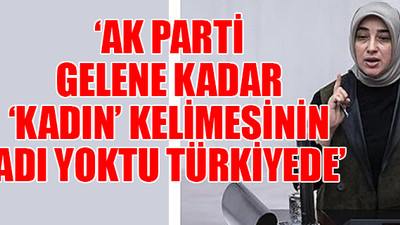 AKP'li Özlem Zengin'den ilginç açıklama