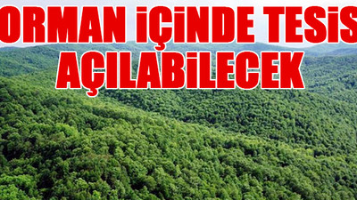 AKP, Orman Yasası’nda değişiklik yapıyor