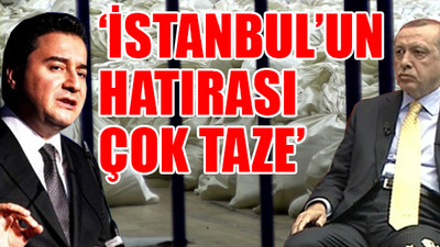 Ali Babacan'dan Erdoğan'ı kızdıracak açıklamalar